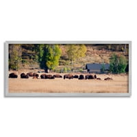 Stupell seoski bizoni pašnjaci za divlje životinje životinje i insekti fotografija siva uokvirena umjetnička print