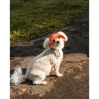 Život kućnih ljubimaca morska mrlja zaštita od sunca UV zaštita Podesivi modni šešir za pse s mrežastim obodom