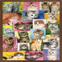 Kate Kimberlin - zidni plakat za kolaž kitties, 14.725 22.375