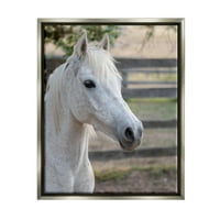 Izbor elegantni bijeli pjegavi konj seoska Farma fotografija sjajno sivo platno u plutajućem okviru zidni tisak,