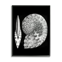 Stupell Industries detaljno uzorak Nautilus Spiral Seashell Modern Design Graphic Art Black Framed Art Print Art