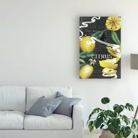 Zaštitni znak likovna umjetnost 'chaldboard citrus ii' platno umjetnost by Grace Popp